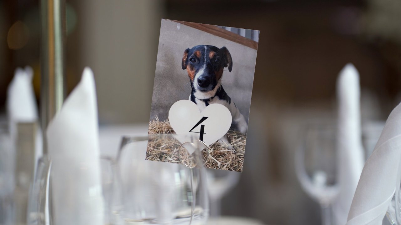 Wedding reception table number 4 featuring a photo of a pup at An Grianan Hotel.